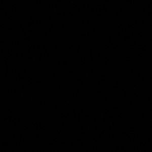 Meet your Posher, Daisy